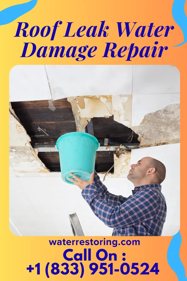 Roof Leak Water Damage Repair in Hubbard, NE