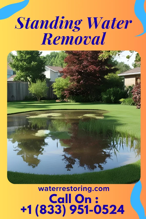 Standing Water Removal in Hubbard, NE